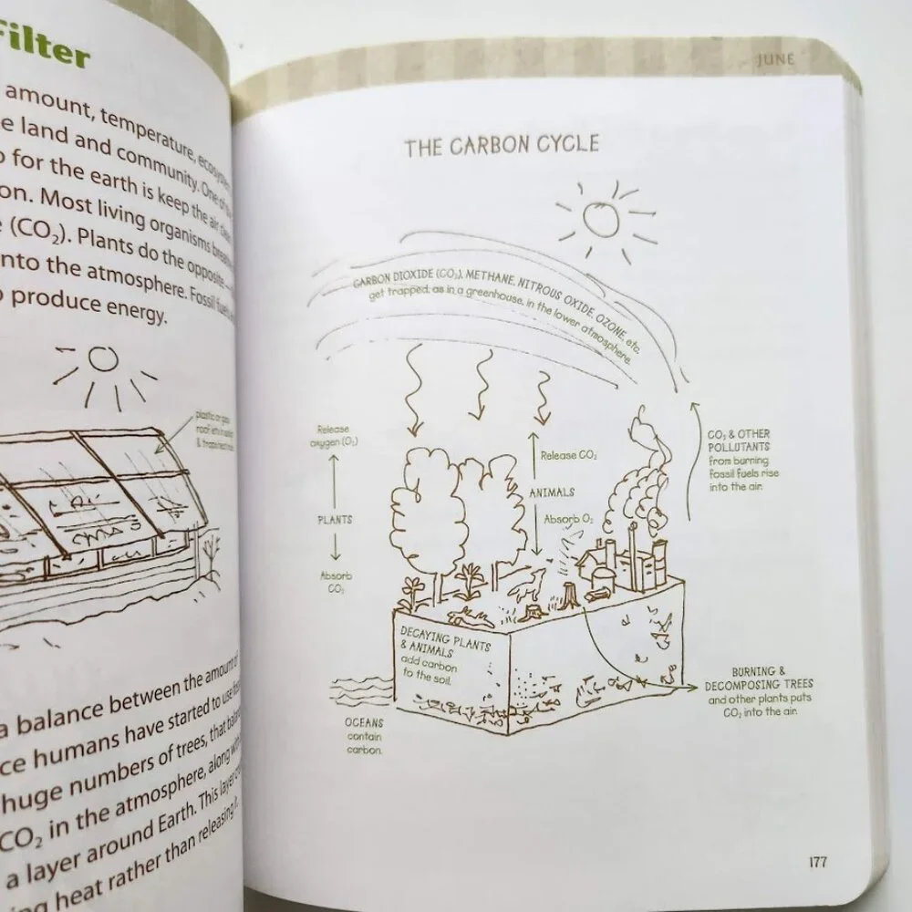 The Nature Connection Outdoor Workbook for Kids, Families, and Classrooms Clare